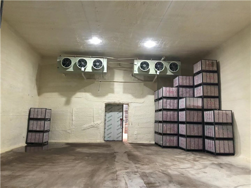 雷速官方网站_雷速leisu（中国）苹果冷库安装案例