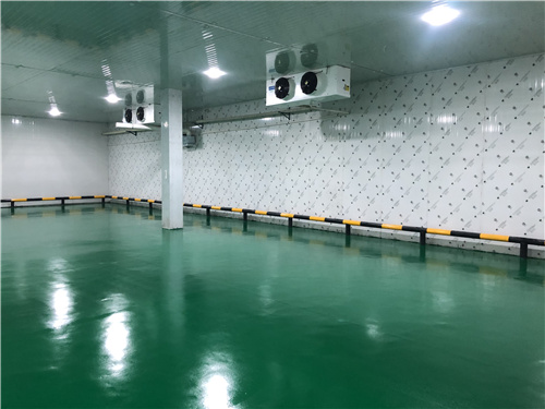 雷速官方网站_雷速leisu（中国）蔬菜保鲜库